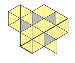 Олимпиада по окружающему миру 3 класс (2018-2019 г)