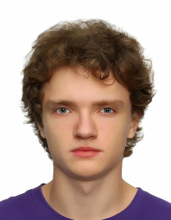 Винокуров Андрей Владимирович | Систематика