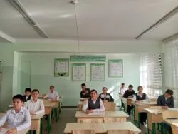 Олимпиады Систематики — документы и результаты