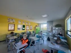 Олимпиады Систематики — документы и результаты