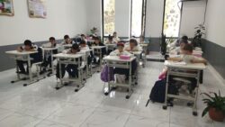 Олимпиады Систематики — документы и результаты